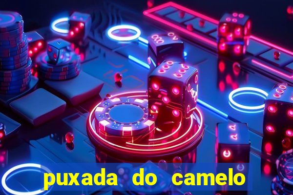 puxada do camelo jogo do bicho